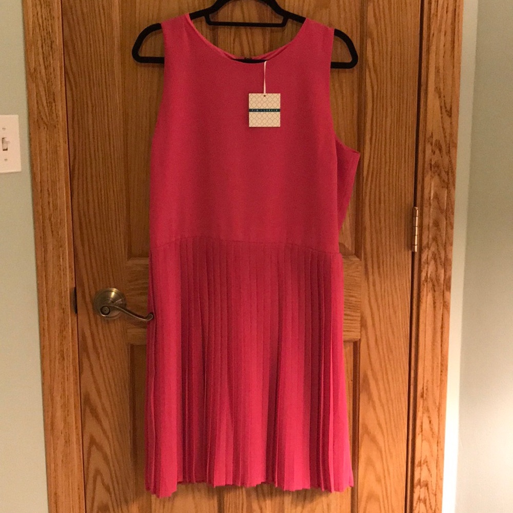 NWT Pim + Larkin pink dress